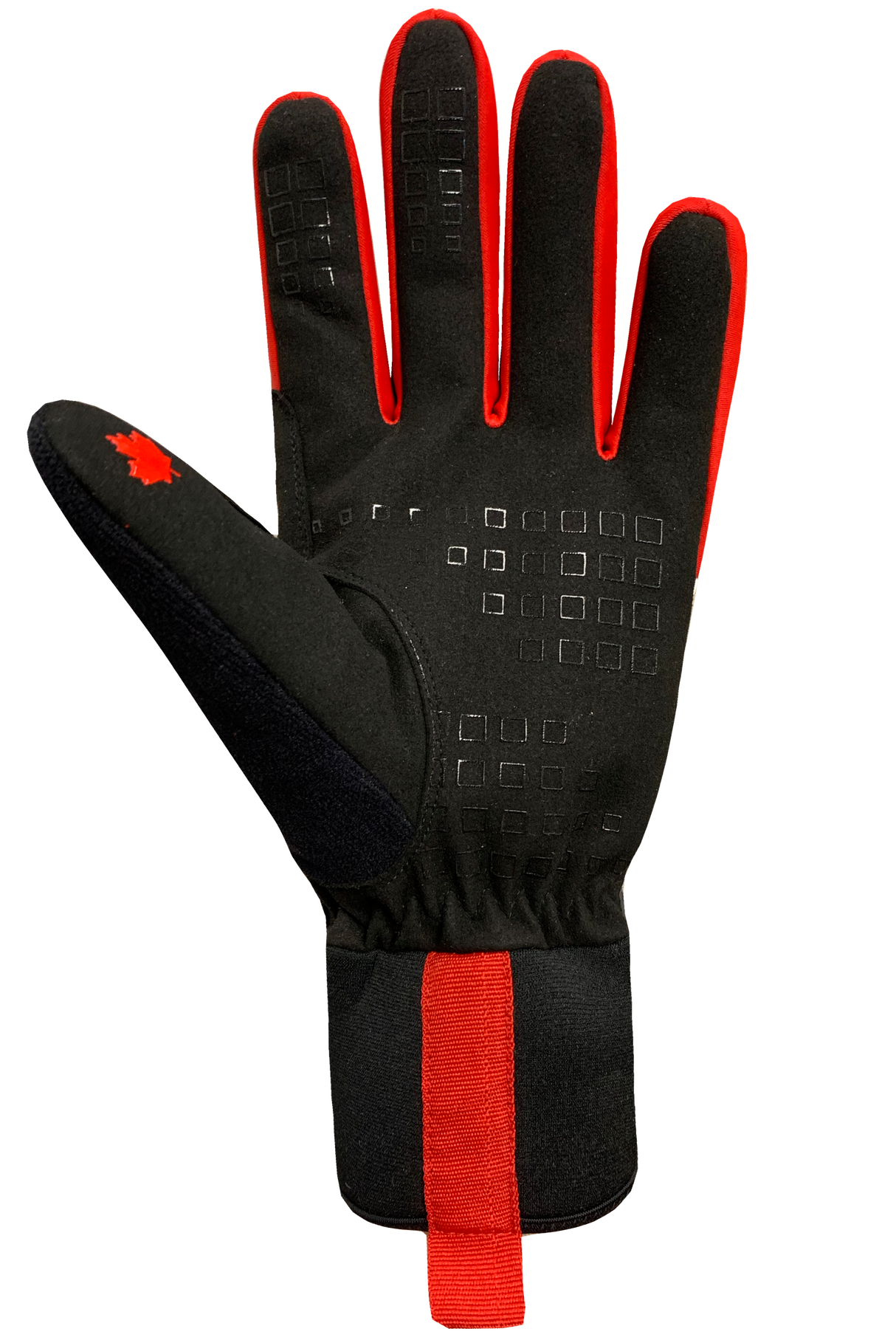 Gants Alex Harvey Pro Xc