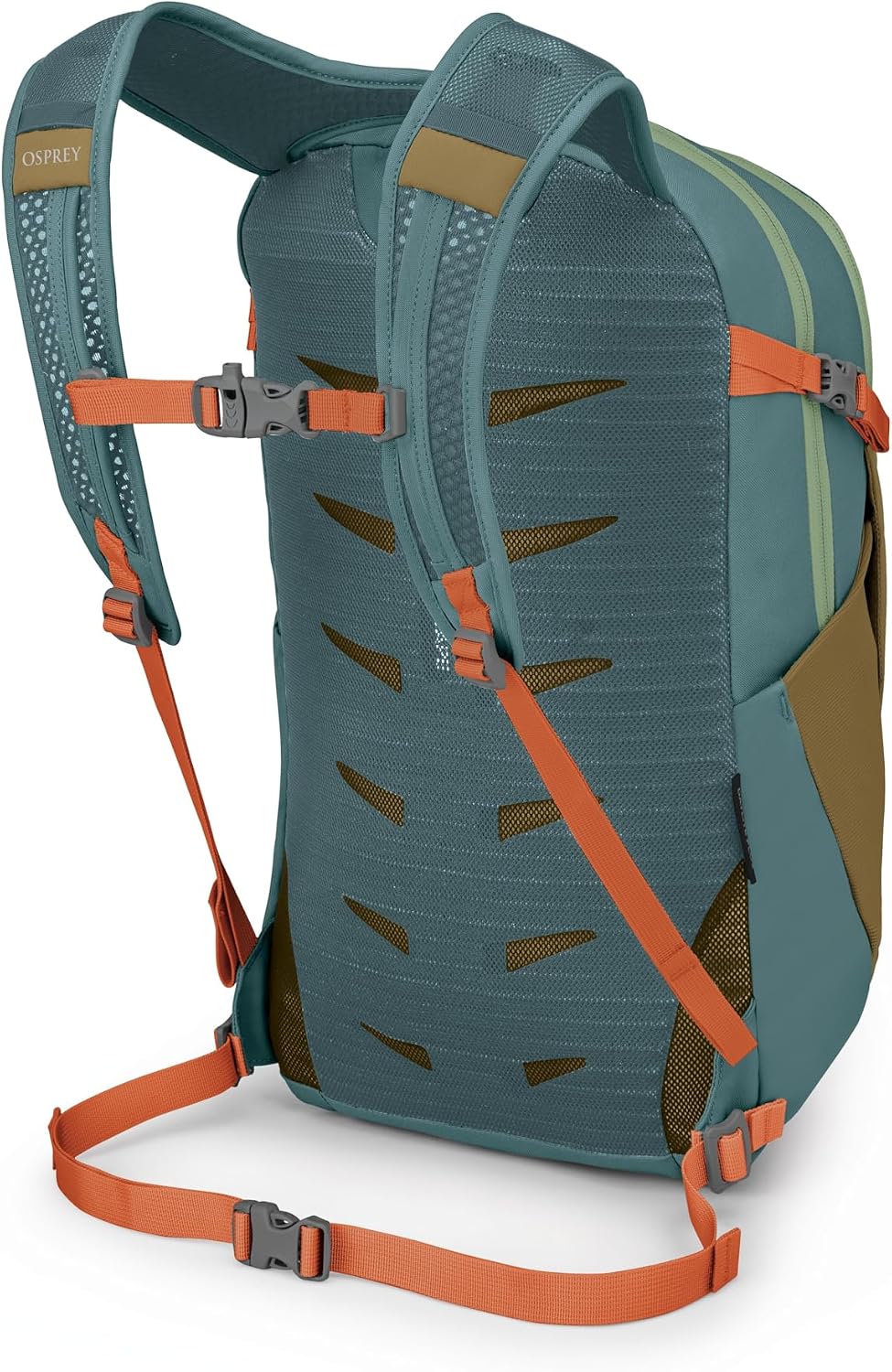 Daylite Plus 20L Backpack