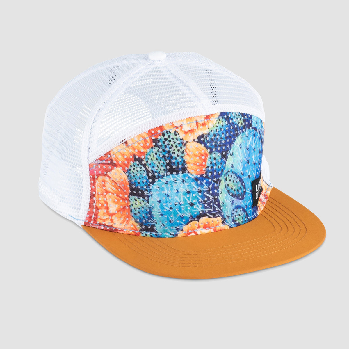 The Steeze Cap