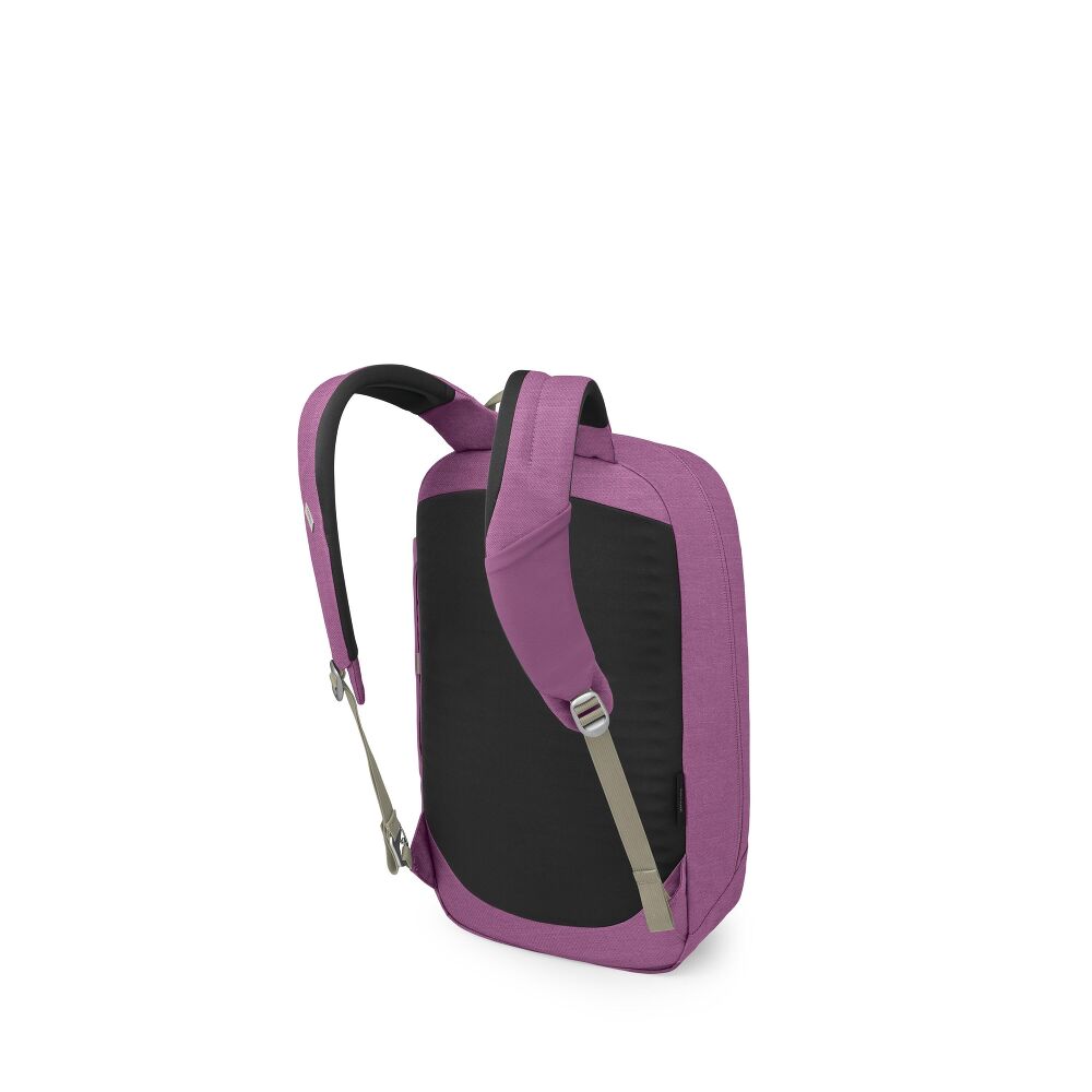 Arcane Large Day Backpack