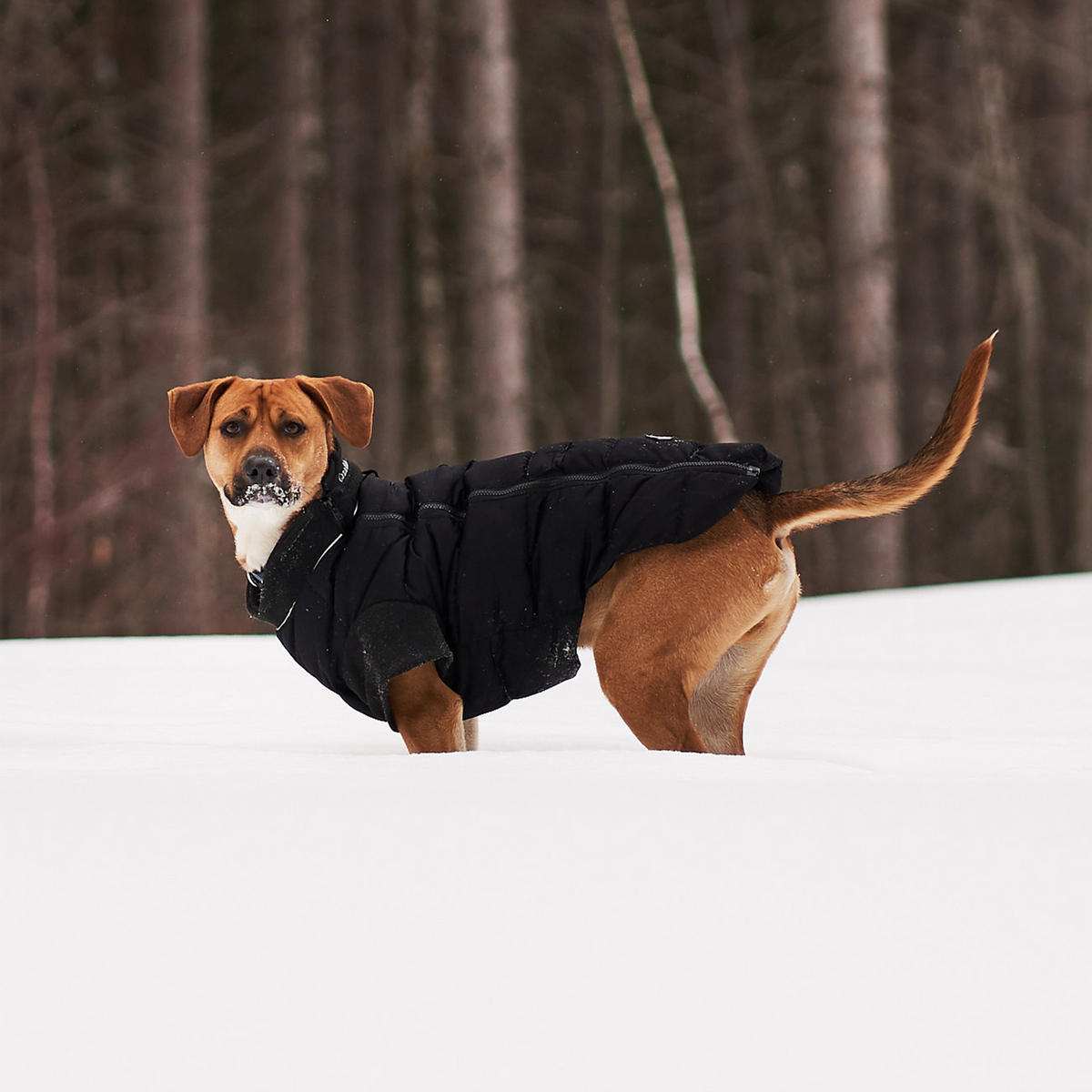 Bonfire Down Jacket Ski Accessory