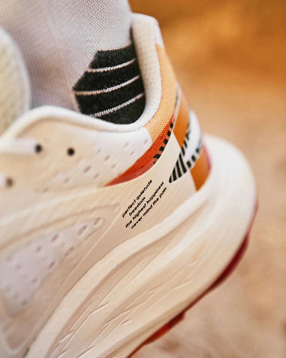 Chaussuress de sentier Glide Max TR Salomon X Ciele Limited Edition