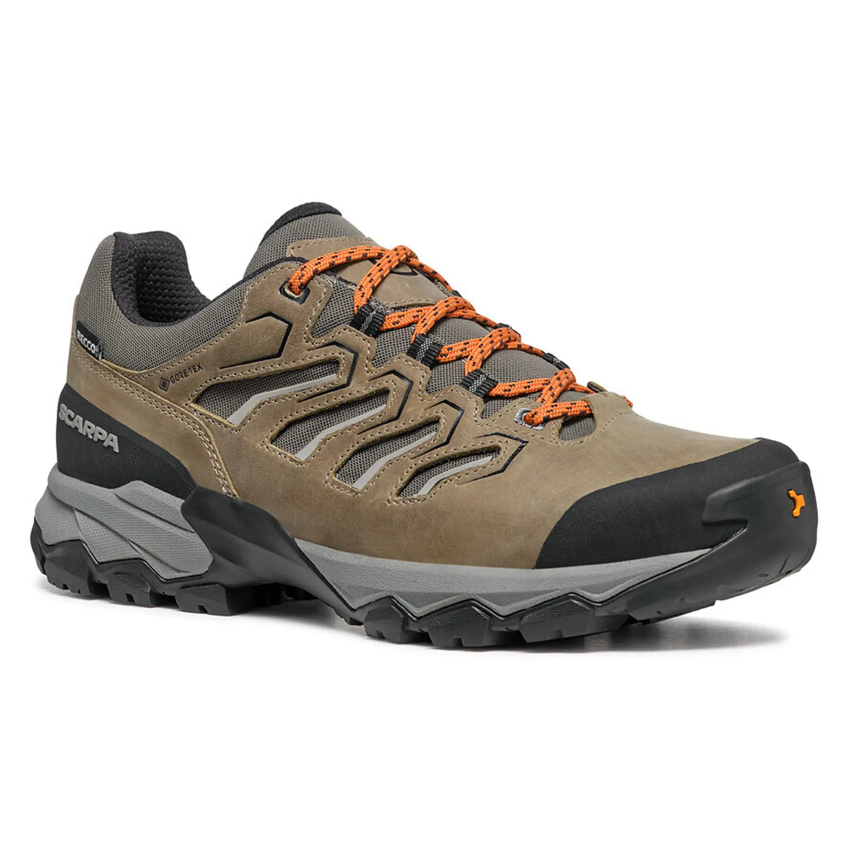 Moraine GTX Hiking Shoes - Men