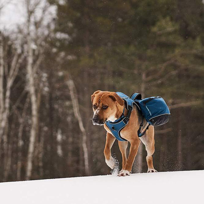 Sac pour chien Traverse