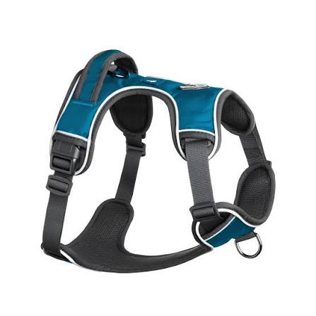 Mesa Harness