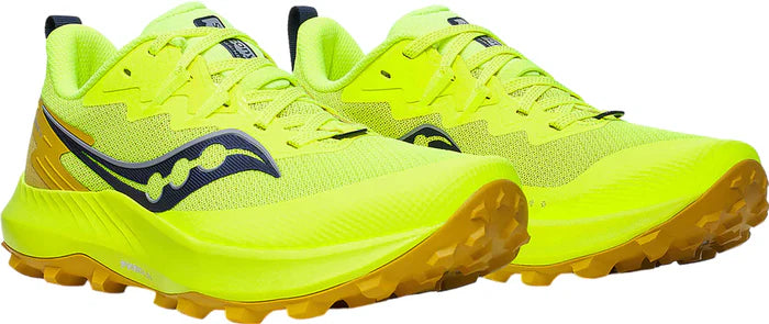 Peregrine 14 Trail Shoes - Men's