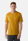 T-Shirt Merino - Homme