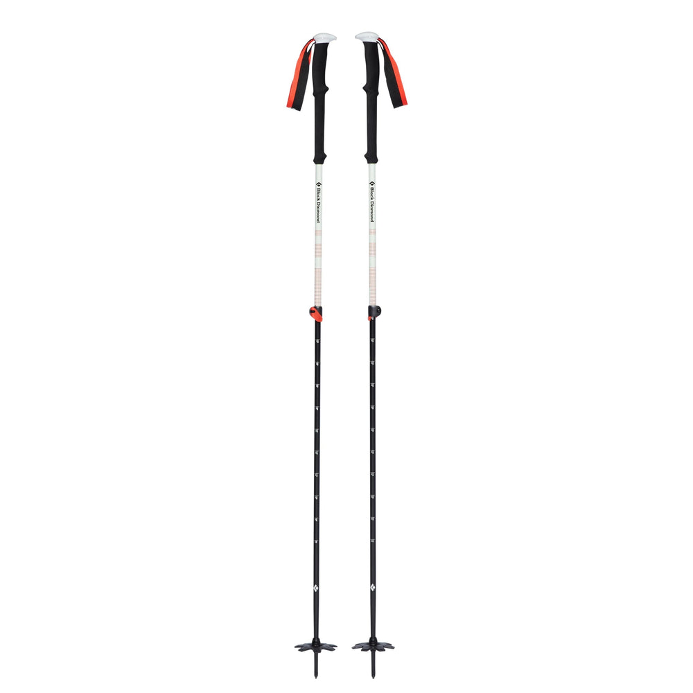 Bâtons de ski Expedition 2