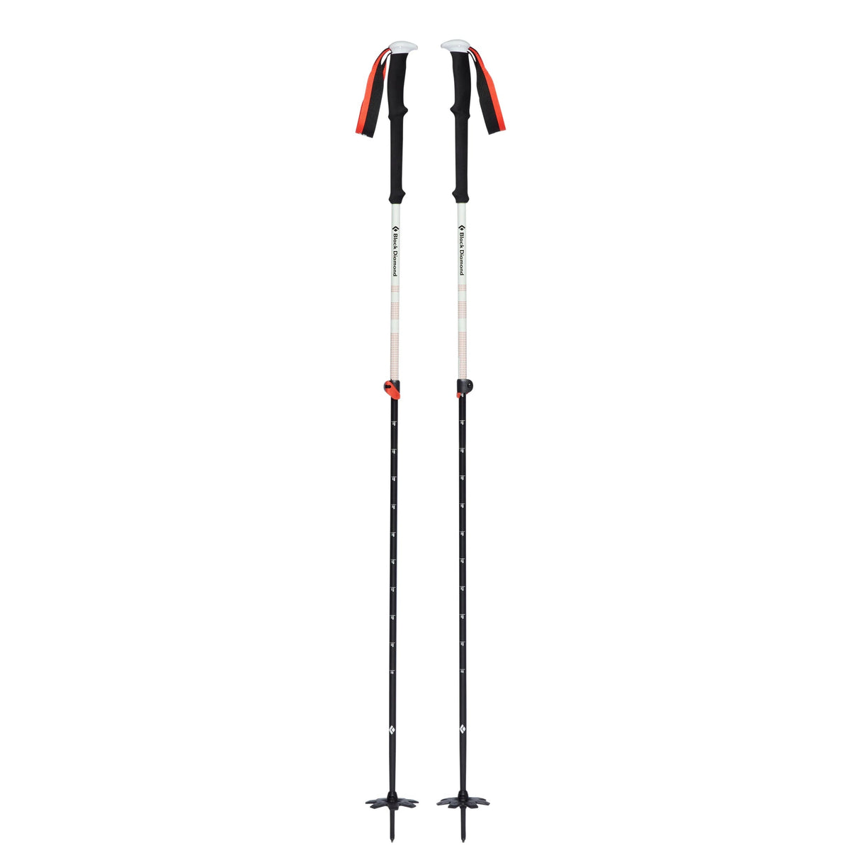 Bâtons de ski Expedition 2