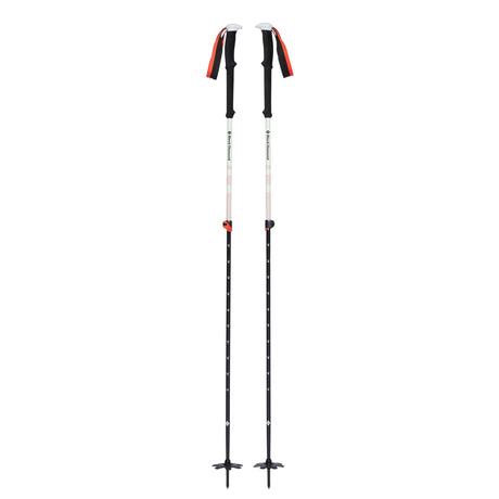 Bâtons de ski Expedition 2