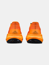 Chaussures de sentier Pure Trail Pro - Homme