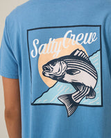 Chandail Fish Stamp Bf - Femme