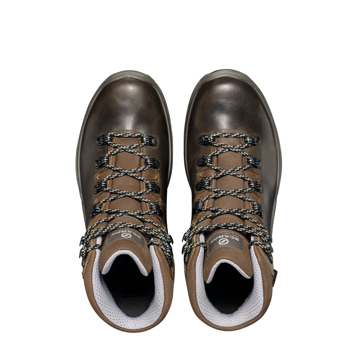 Terra GTX Hiking Boots - Women's