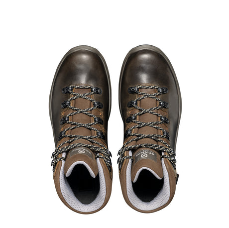 Terra GTX Hiking Shoes - Women's