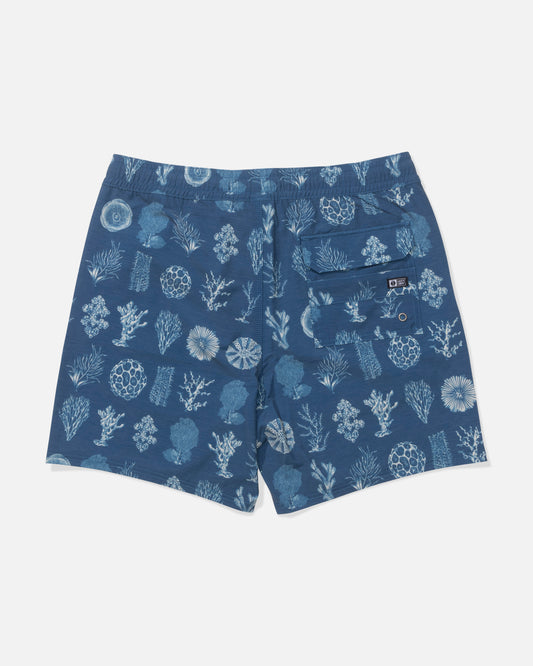 Short Crew Volley - Homme