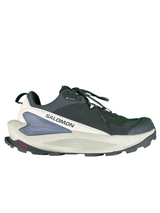 Chaussures légères de sentier Elixir Gtx - Homme