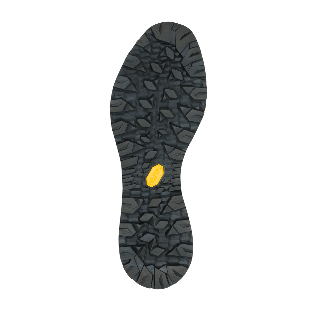 Chaussures de randonnée Alterra II GTX - Homme