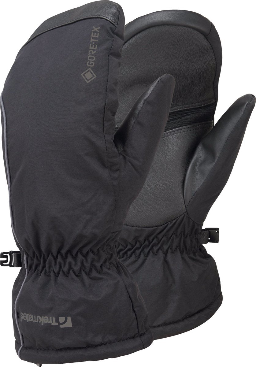 Mitaines Chamonix Gtx
