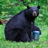 Bv500 Journey Bear Resistant Food Canister