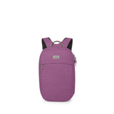 Arcane Large Day Backpack