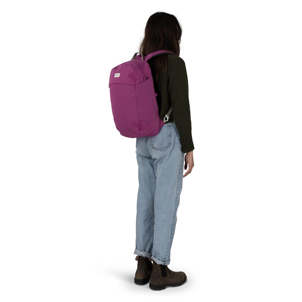 Arcane Large Day Backpack
