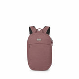 Arcane Large 21L Backpack