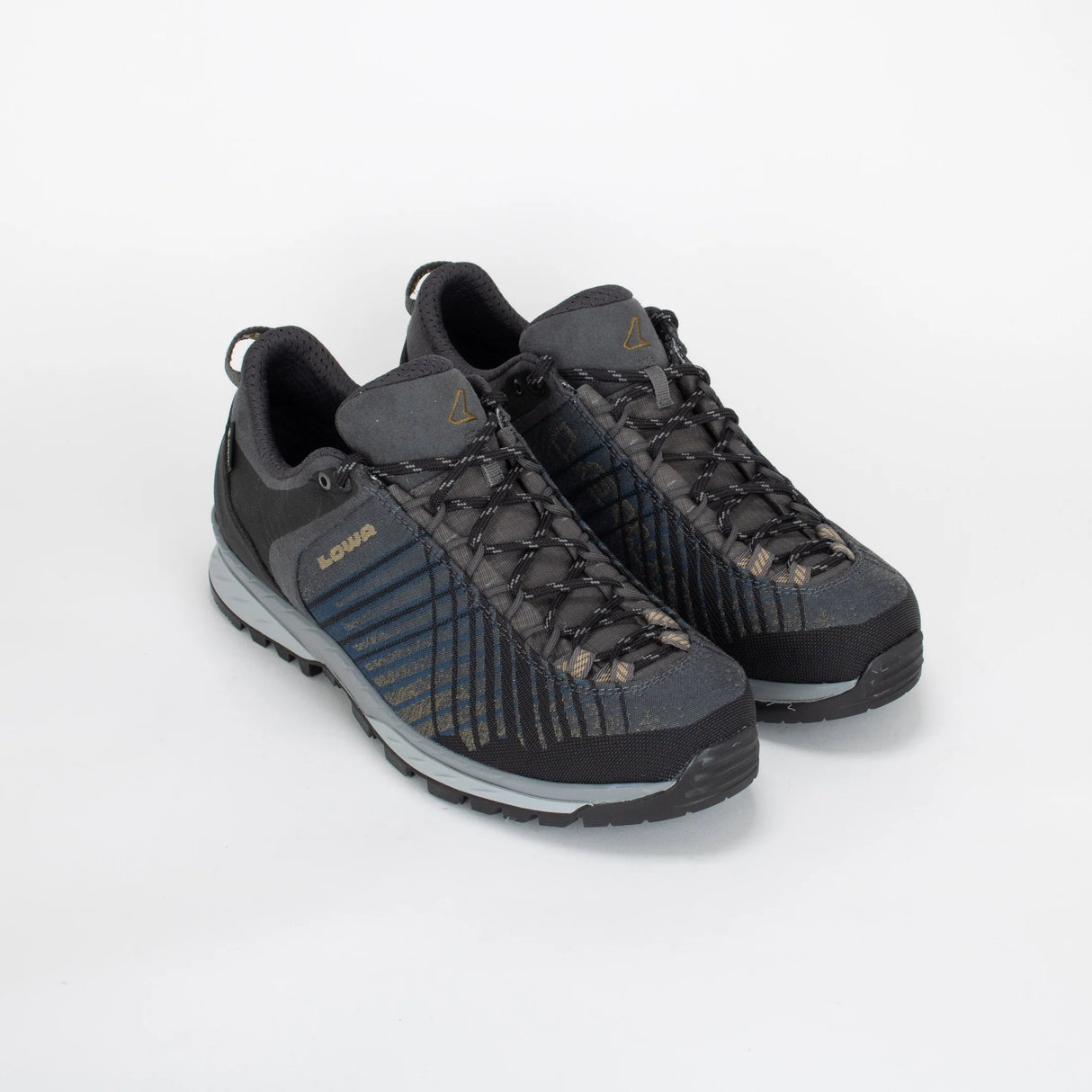 Chaussures de trekking Carezza Gtx Lo - Homme