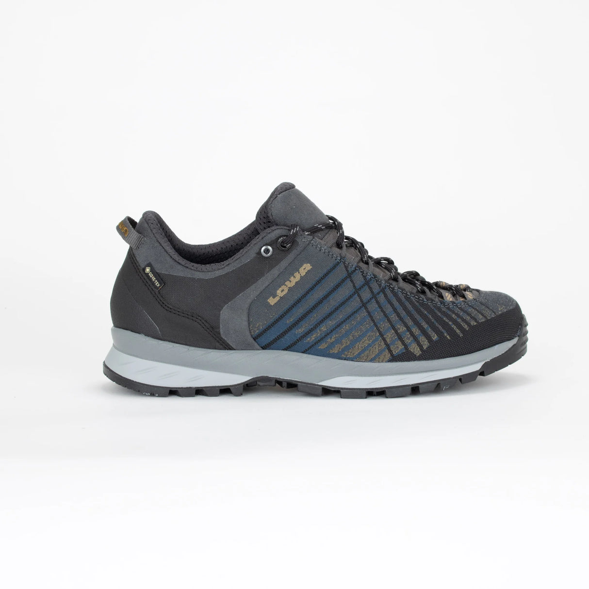 Chaussures de trekking Carezza Gtx Lo - Homme