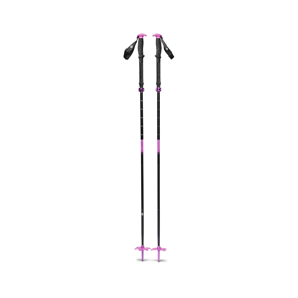 Expedition Compactor Ski Pole