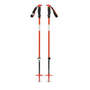 Traverse ski poles