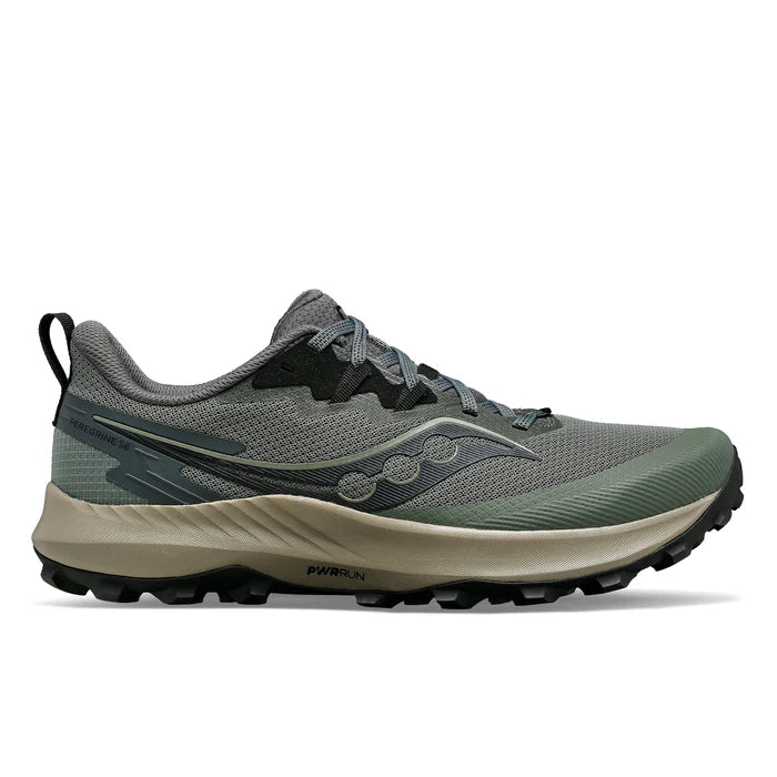 Chaussure Peregrine 14 (Homme)