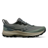 Chaussure Peregrine 14 (Homme)