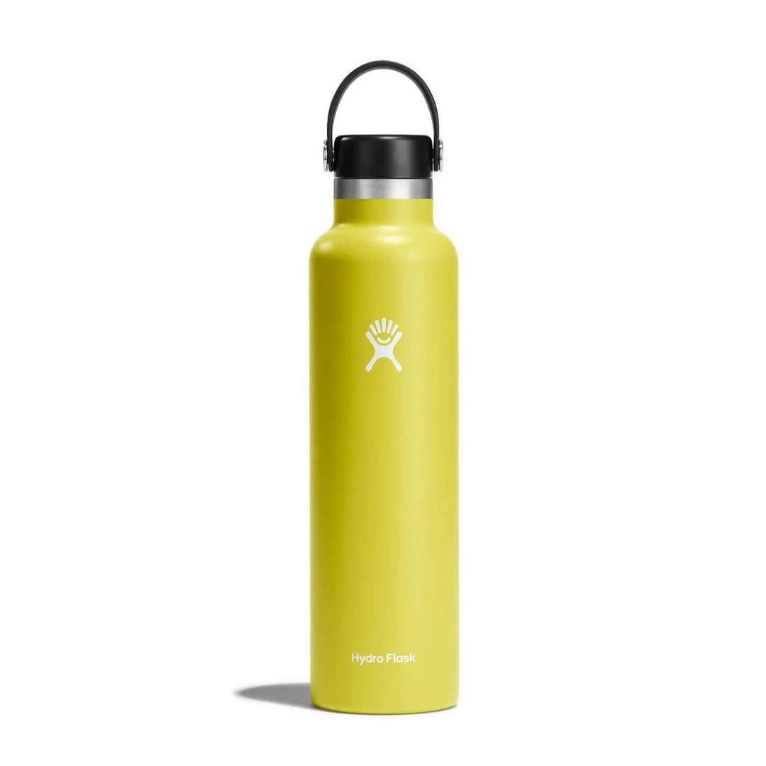 Bouteille Standard flex cap