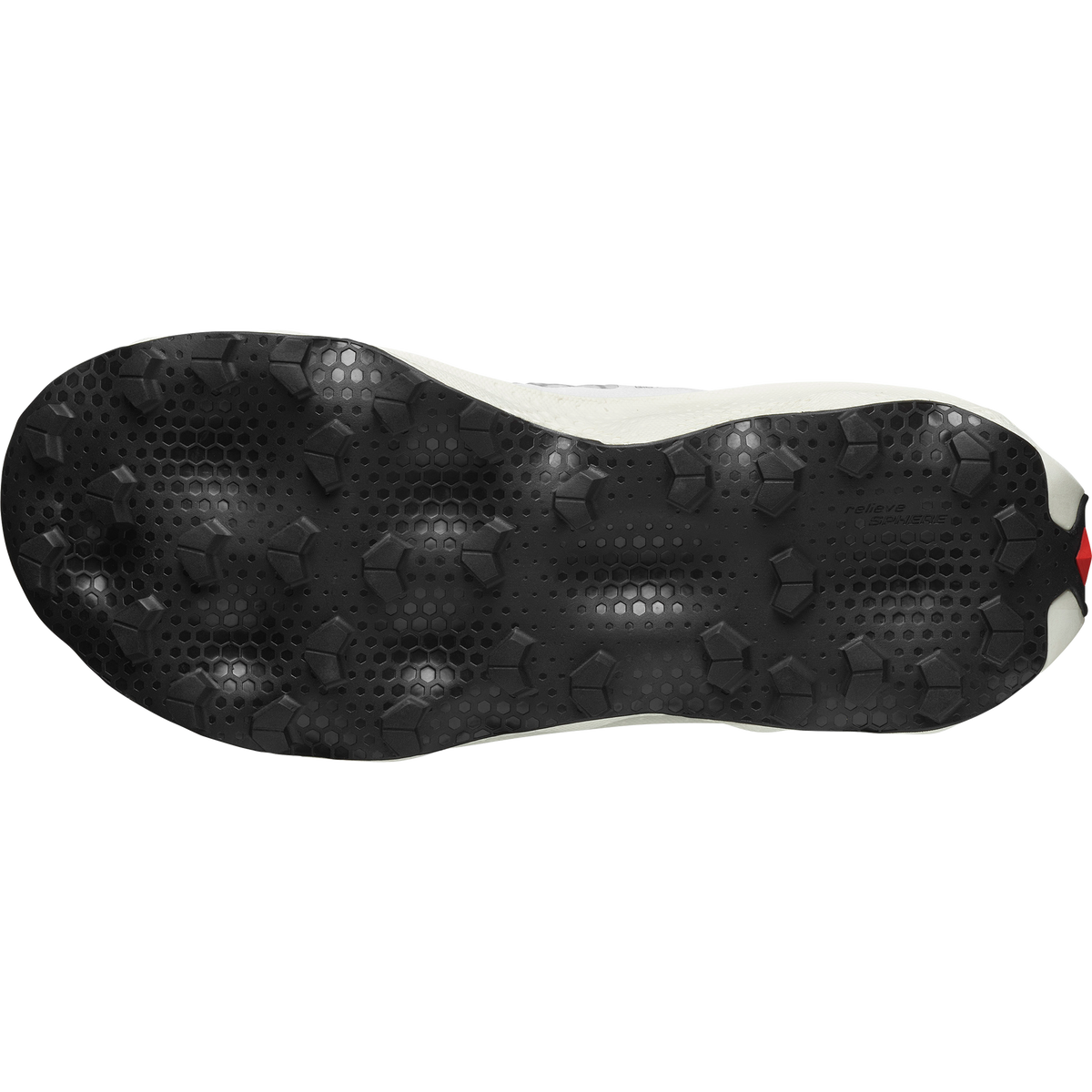 Chaussures de sentier S/Lab Dust - Homme