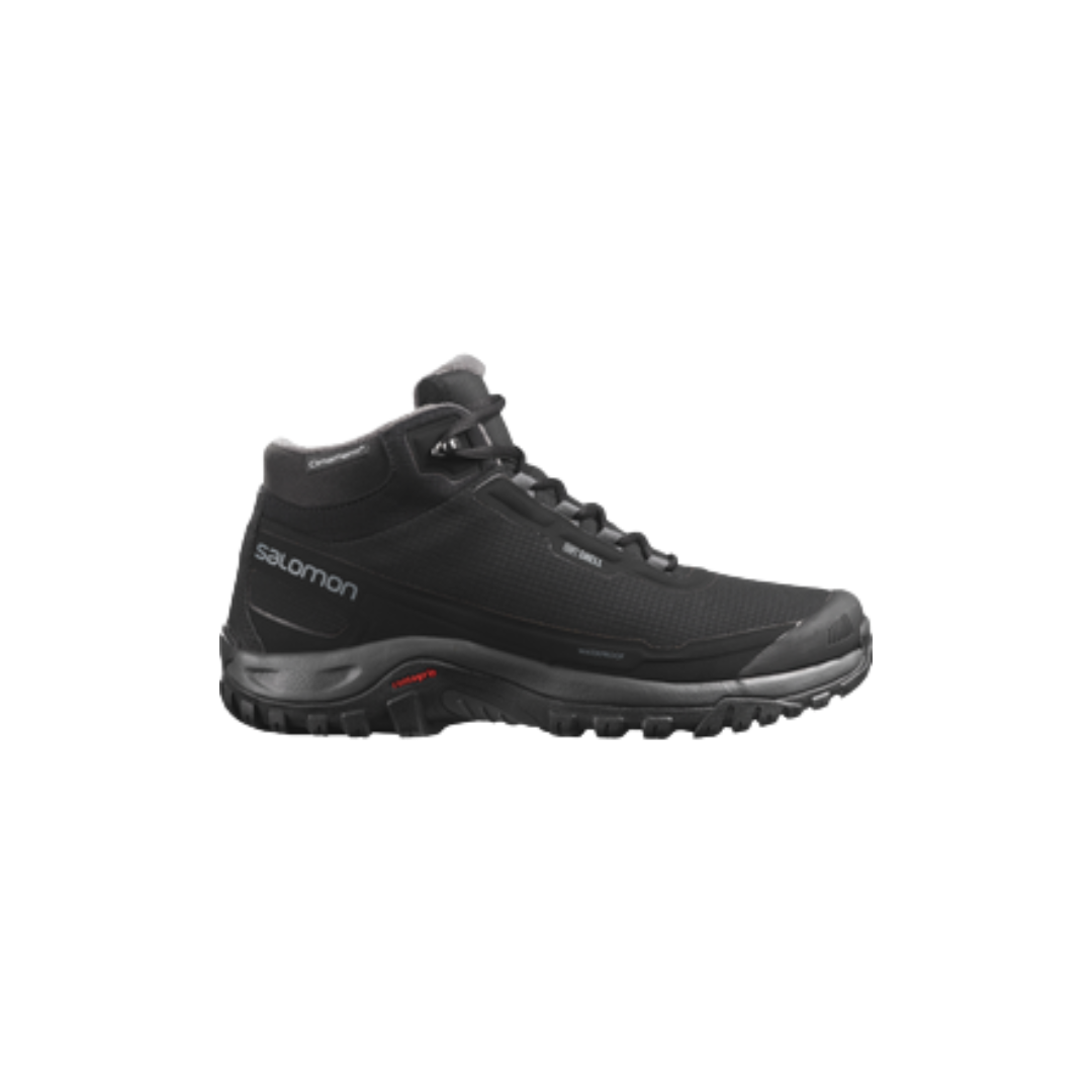Chaussures Shelter CS WP (Homme)