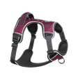 Mesa Harness