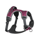 Mesa Harness