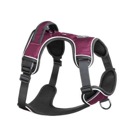 Harnais pour chien Mesa