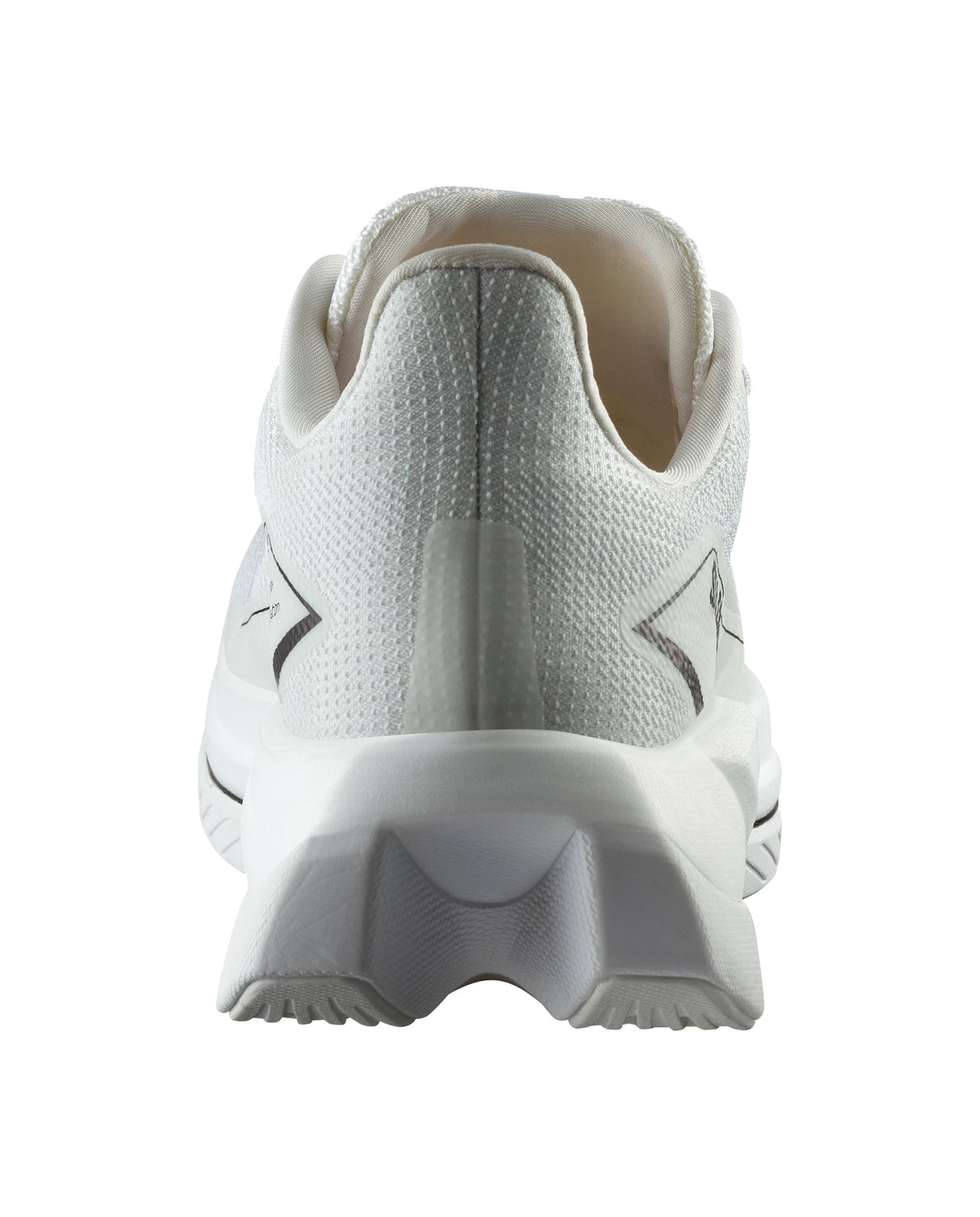 Chaussures de course S/Lab Spectur - Homme