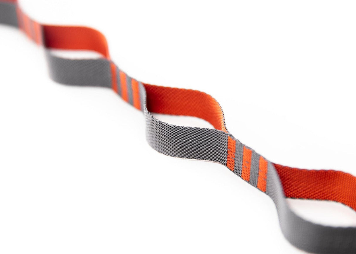 Python 10 Straps