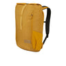 Depot 25L Ski Backpack