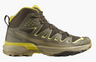 Men's X Ultra 360 Edge MID GTX Hiking Shoes