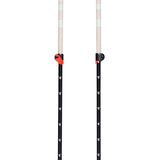 Bâtons de ski Expedition 2