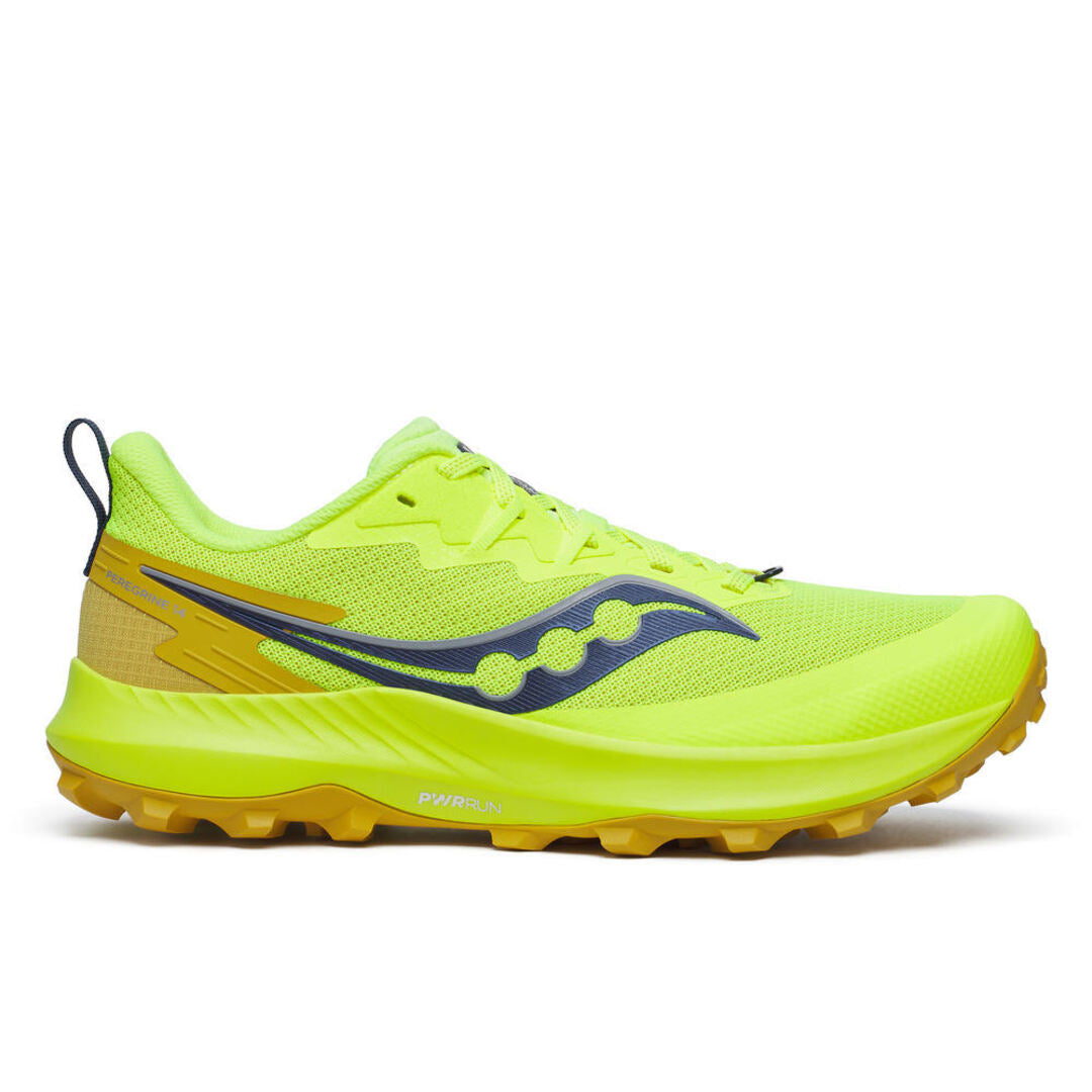 Chaussure Peregrine 14 (Homme)