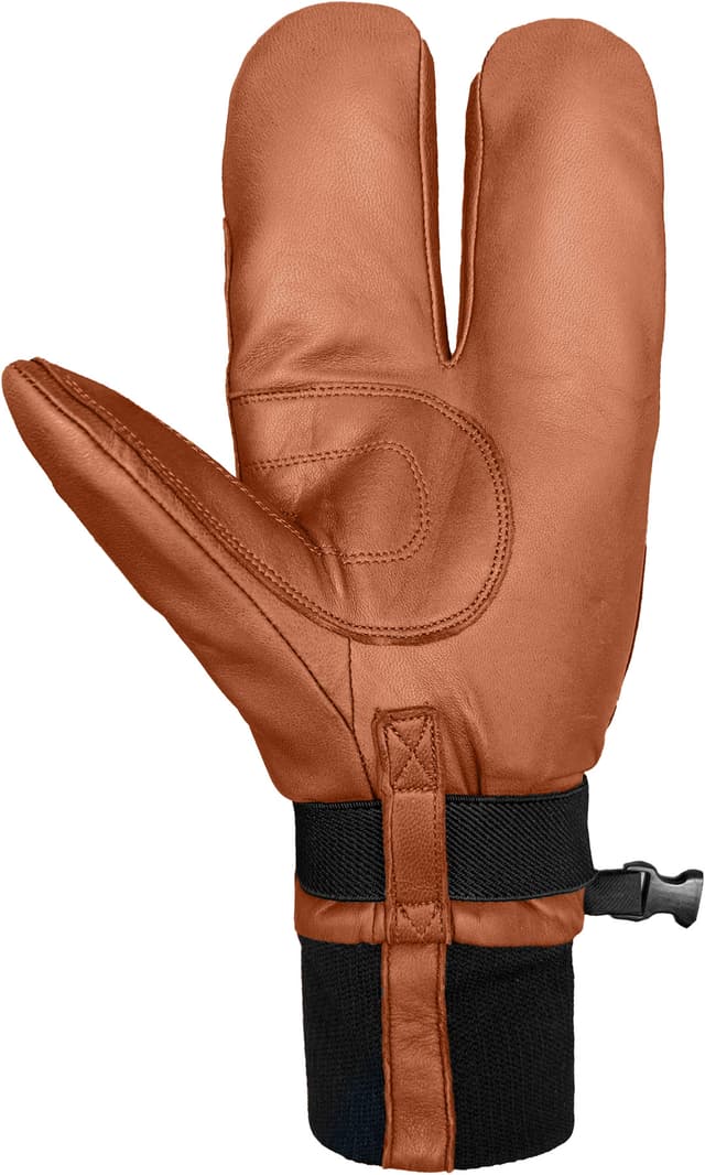 Mitaines Wwpb Gigatex 2-Finger - Homme