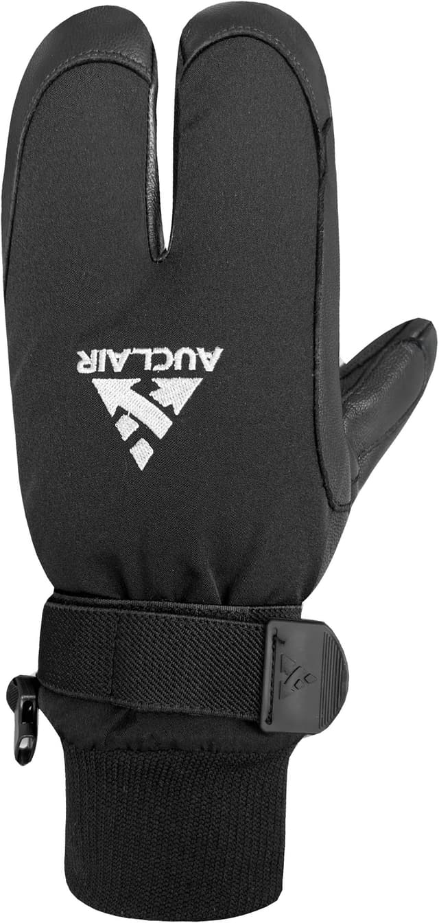 Mitaines Wwpb Gigatex 2-Finger - Homme