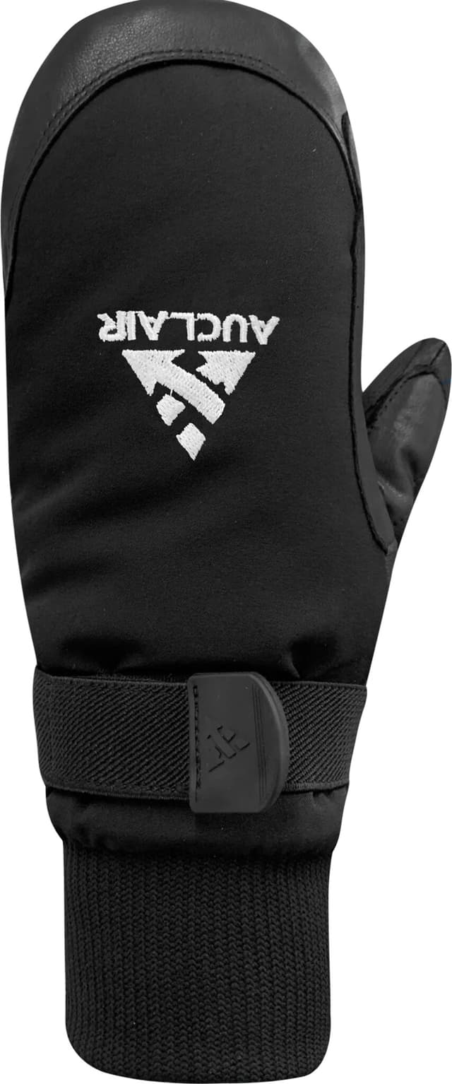 Mitaines Wwpb Gigatex - Homme
