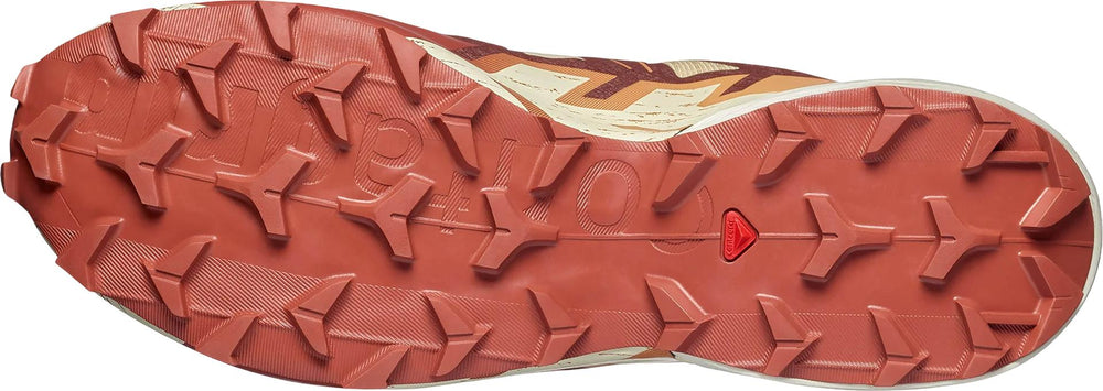 Chaussures de sentier Speedcross 6 - Homme