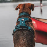 Mesa Harness