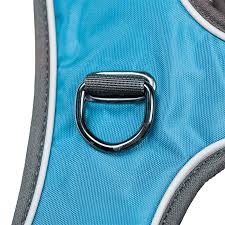 Mesa Harness